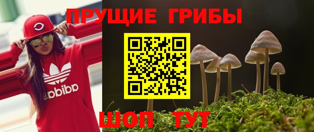 Стрежевой  Галлюциногенные грибы ЛСД  Вход с VPN 
