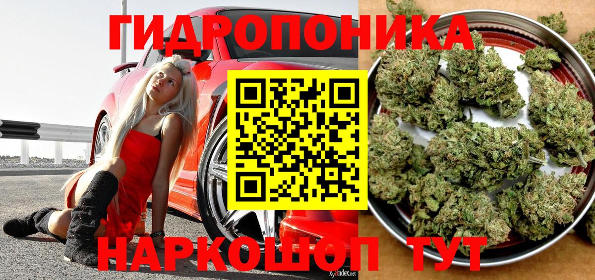 Шишки марихуана Bruce Banner Стрежевой